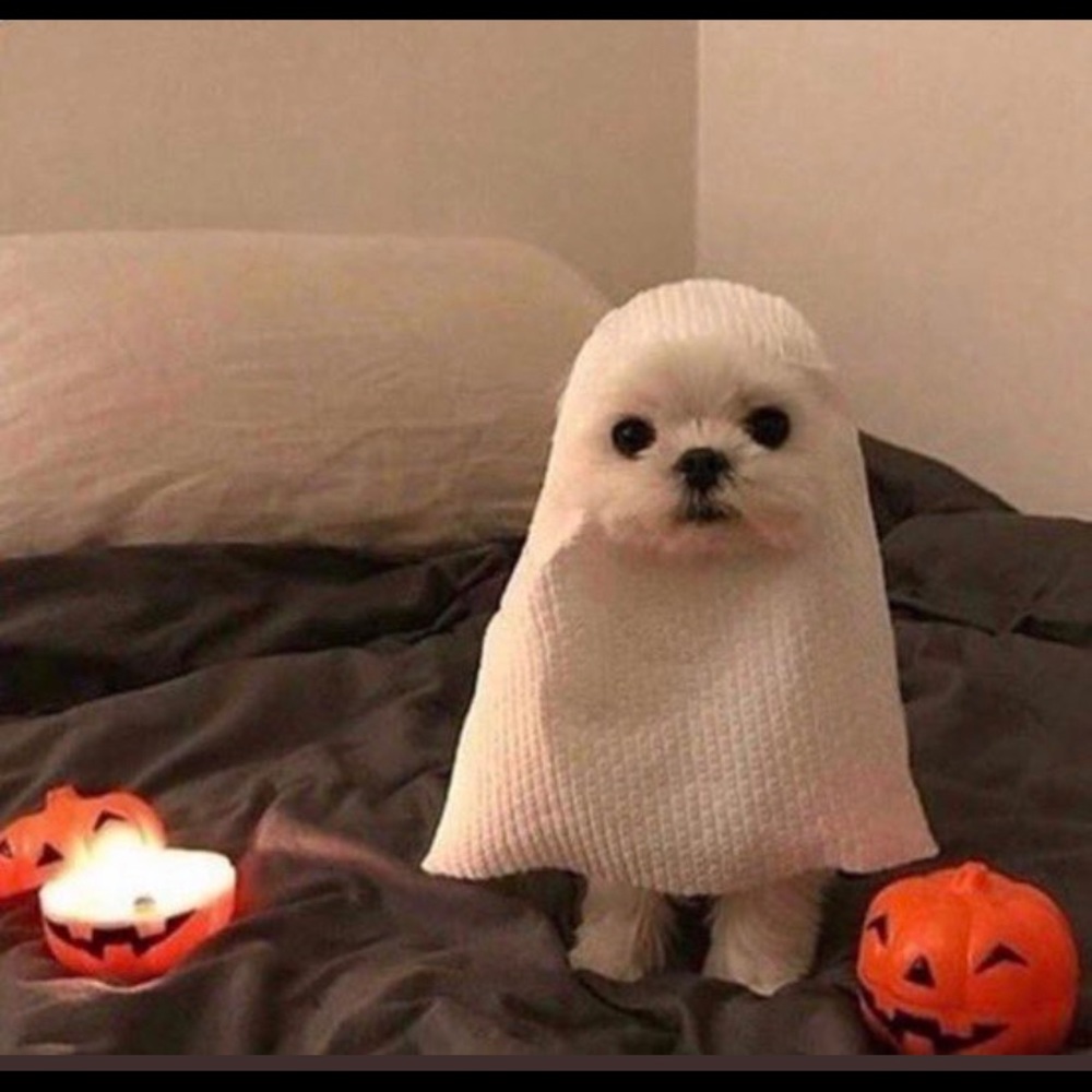 Meet your Posher, Nadia